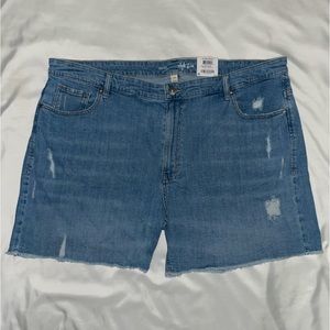 Style & Co. - Blue Denim (Light/Medium Wash) Bermuda Shorts 24W Size (Women)